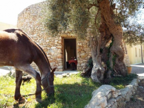 Delle Rose Horses Club Salve